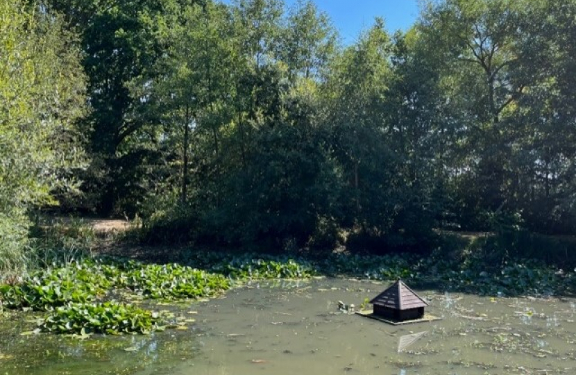 Pictured, the village pond and Cllr John Medhurst clearing the weeds