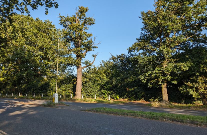 Pictured, the proposed pedestrian crossing site on Portsmouth Road