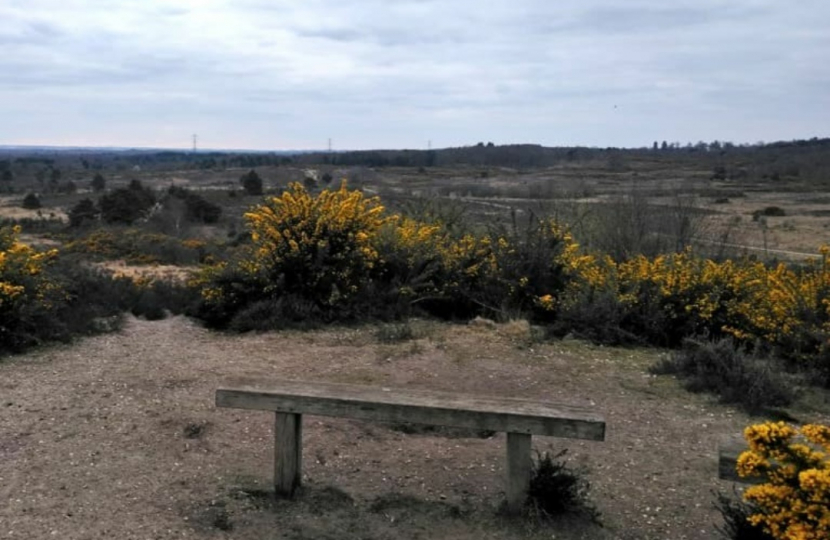 Chobham Common