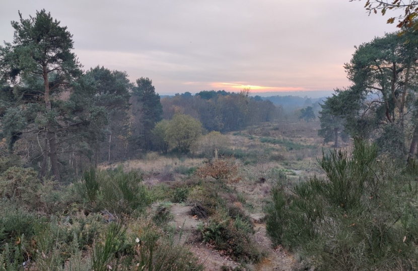 Pictured, Brentmoor Common in West End