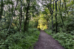 Priest Lane