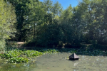 Pictured, the village pond and Cllr John Medhurst clearing the weeds