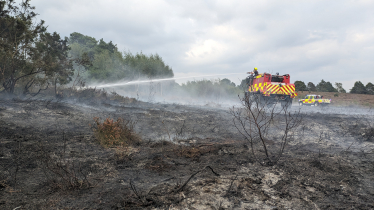 Chobham Wildfire 