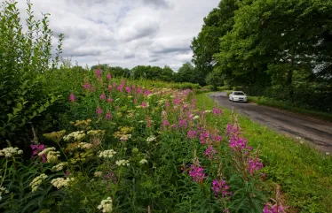 Photo credit: Jon Hawkins – Surrey Hills Photography