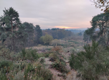 Pictured, Brentmoor Common in West End